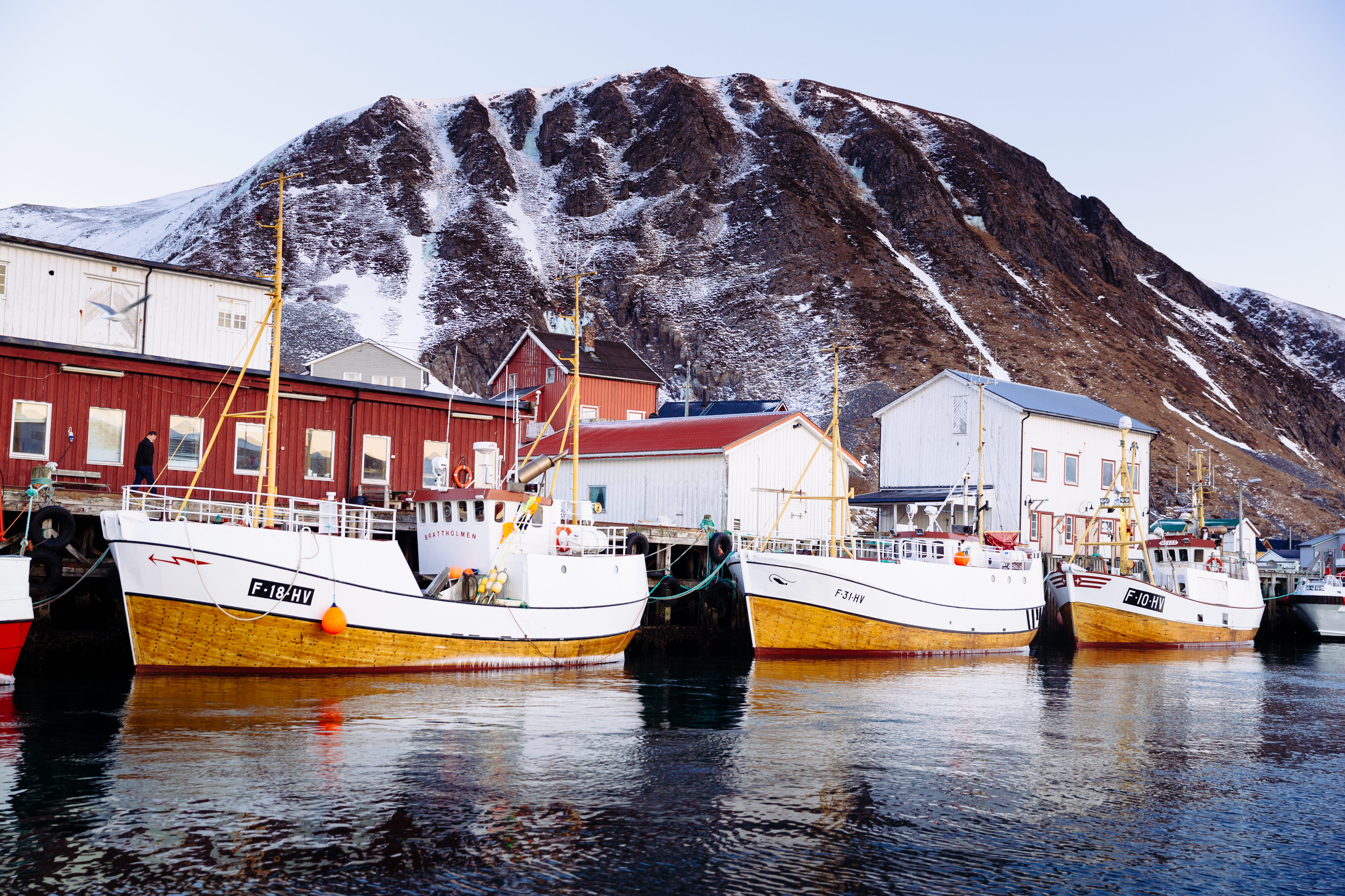 Fiskebåter langs kai